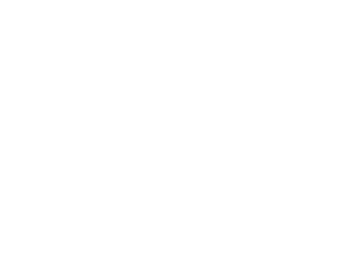 A green and white logo for dynamic tint llc.